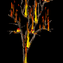 eri_feuerbaum1.gif