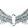 nex666_fluegel01.gif